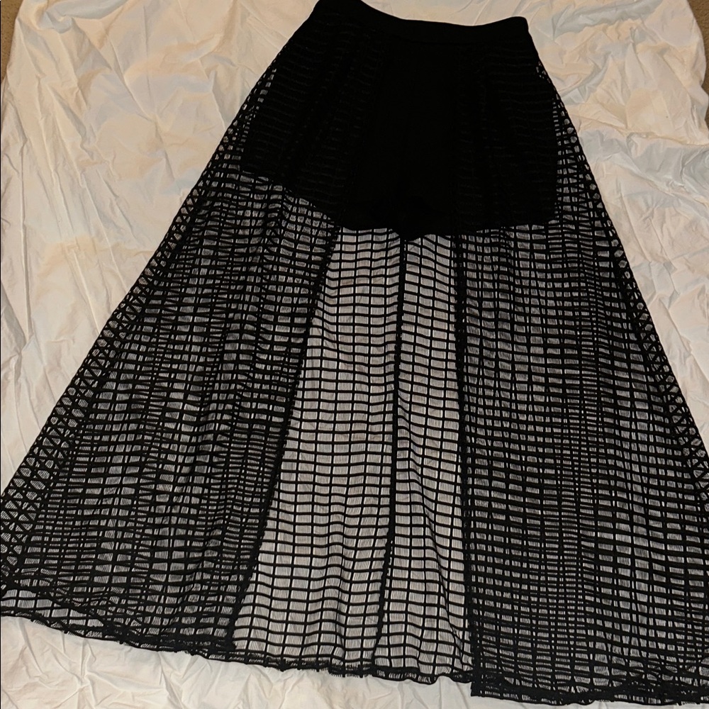 Hera Collection Black Sheer Grid overlay with under shorts